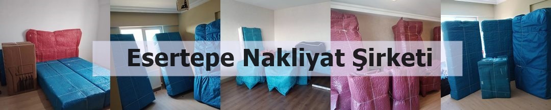 Esertepe Nakliyat görseli